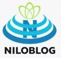 یادداشتهای دخترانه یک نوجوان
